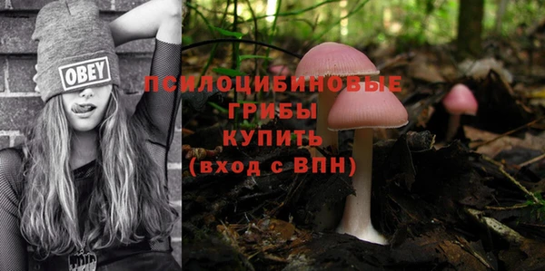 твердый Балахна